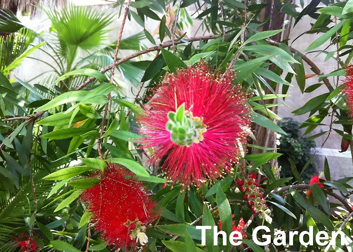 Le Tre M - Guesthouse Rom